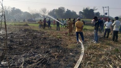 Photo of डेईडीह धौरहरा गाँव में गन्ने के खेत में आग, फायर सर्विस ने बुझाई